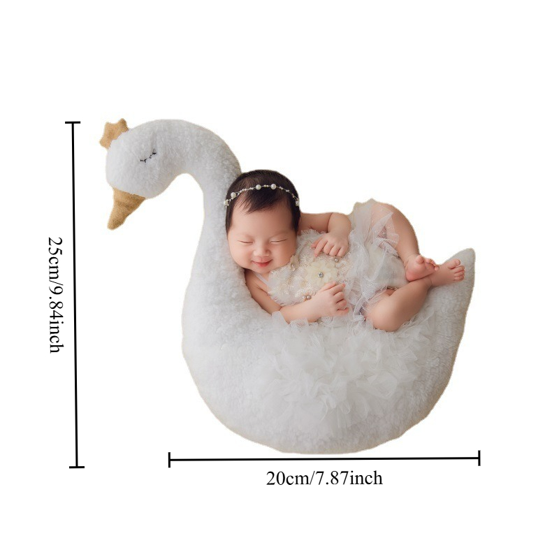 Accessoires de photographie po - Baby Products Photoshoot avis et prix